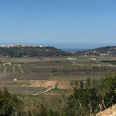 Colina Casa * Cela Velha